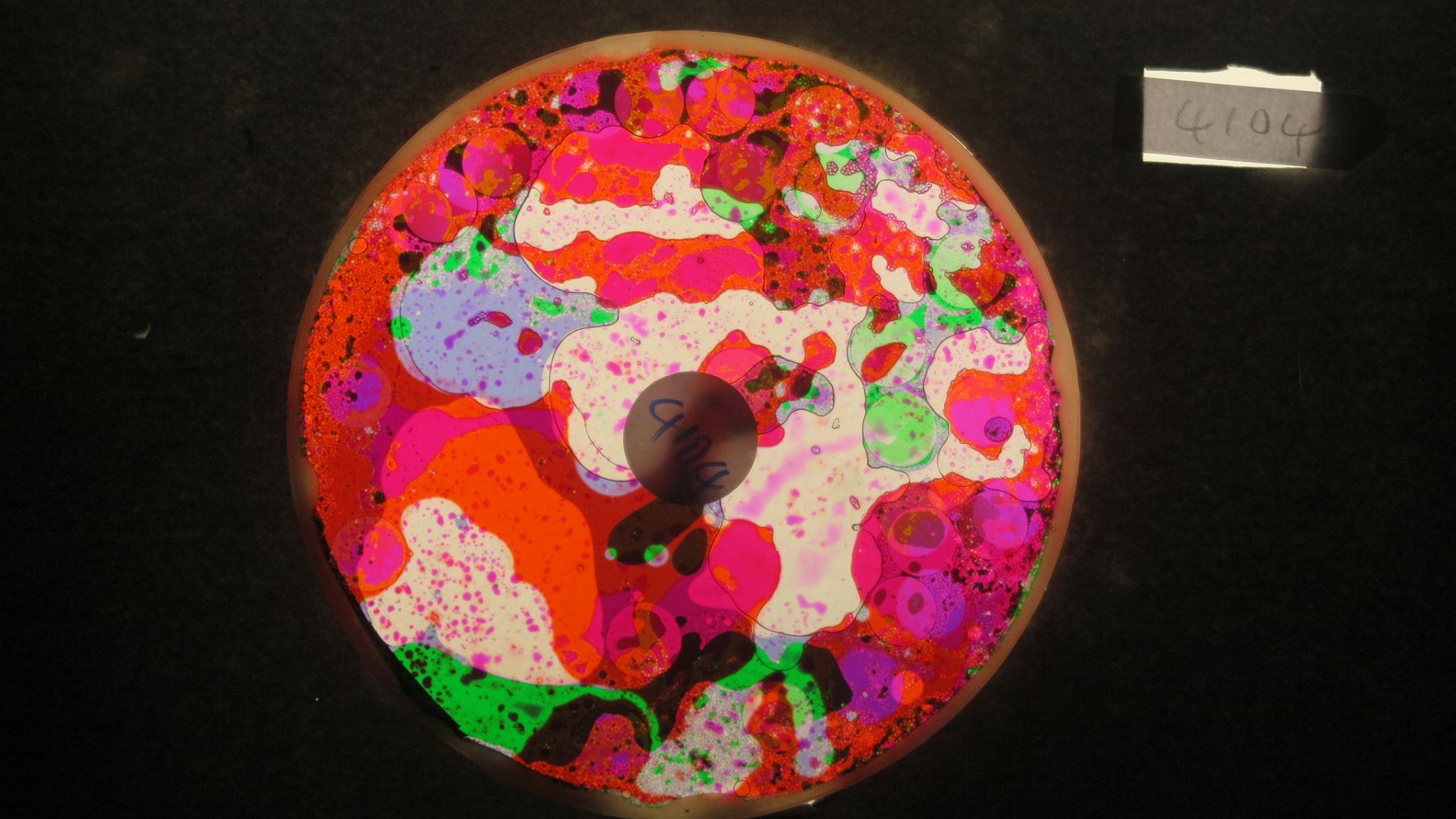 BV4104 bubble vision oil wheel